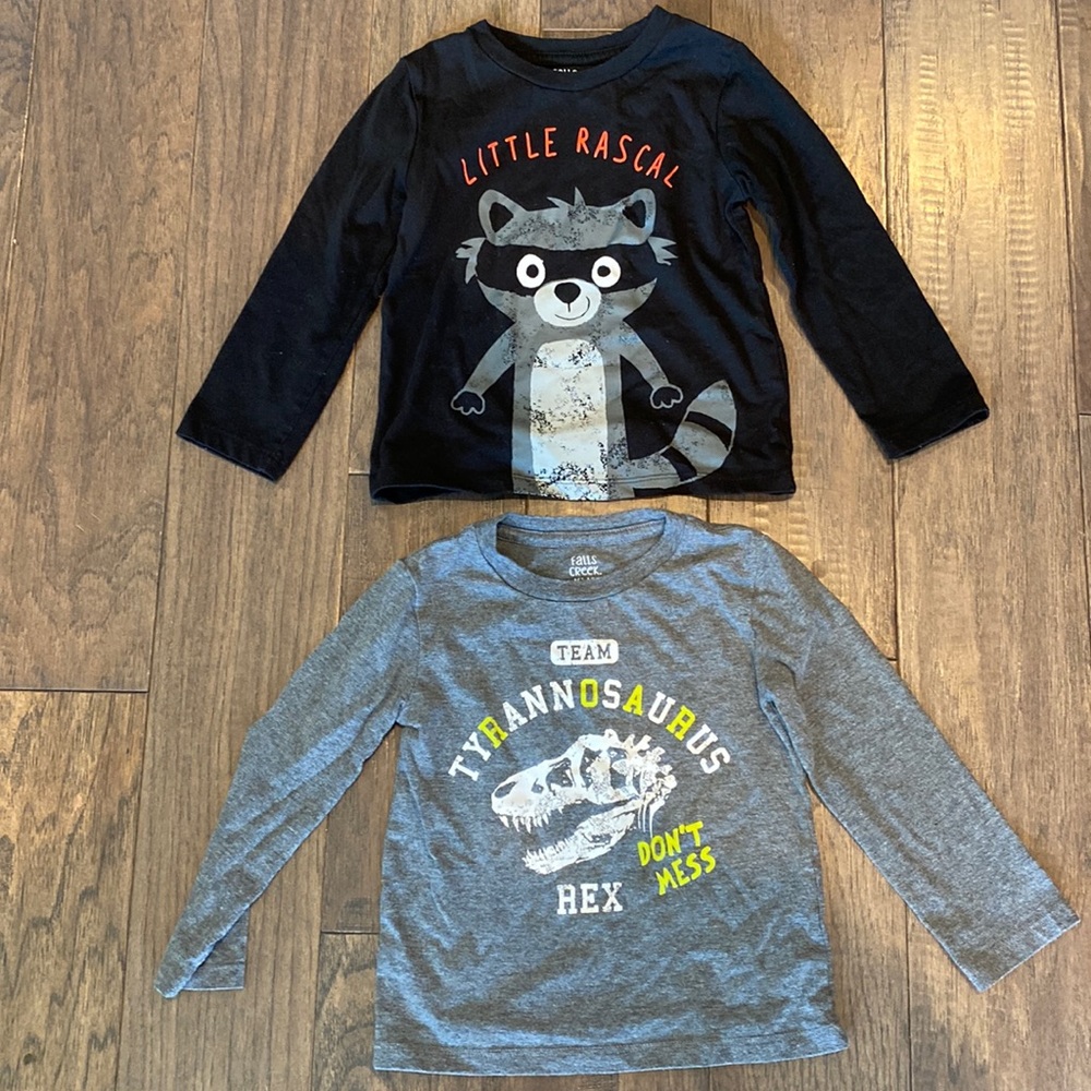 Falls Creek Pair of Long Sleeve Graphic Tee Shirts 2T